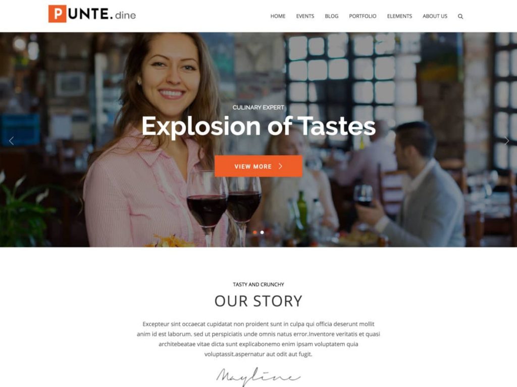 Punte 多功能免费WordPress主题