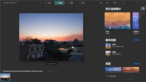 Luminar AI绿色便携版