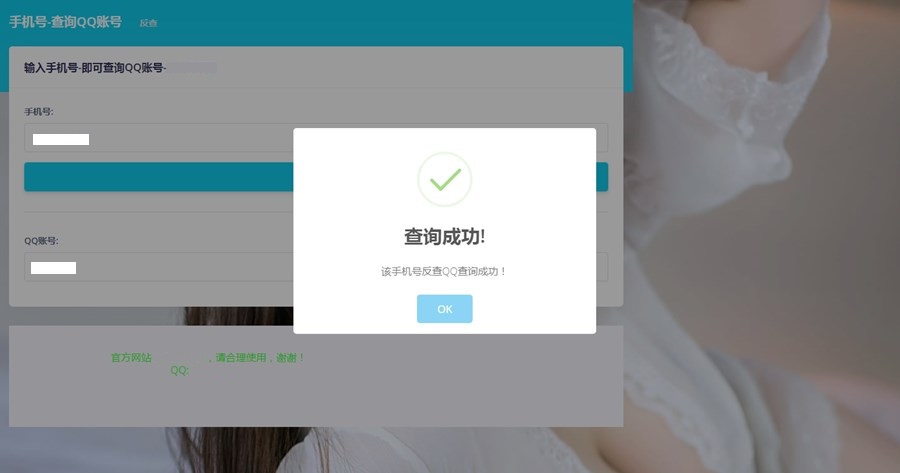 手机号在线查询QQ账号网站源码 更新接口