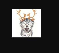 获取qq头像api接口