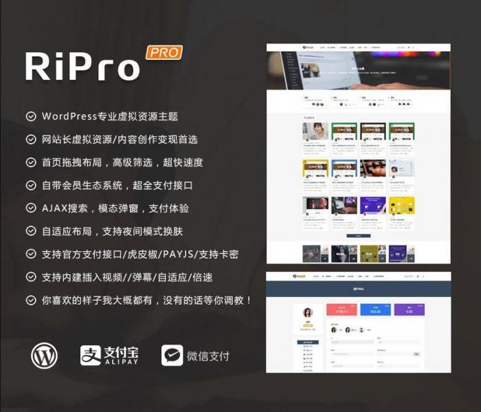 RIPro主题 v7.2 免授权修复后门完美版
