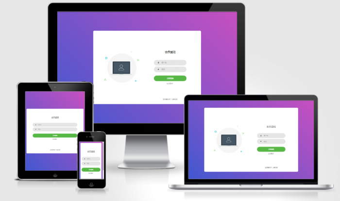 DS网简洁美化用户登录模板源码