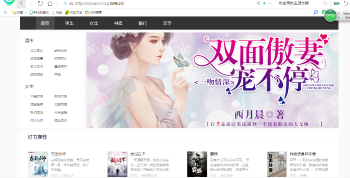 <span class='h-light'>小说</span>网网站源码和详细视频搭建教程分享