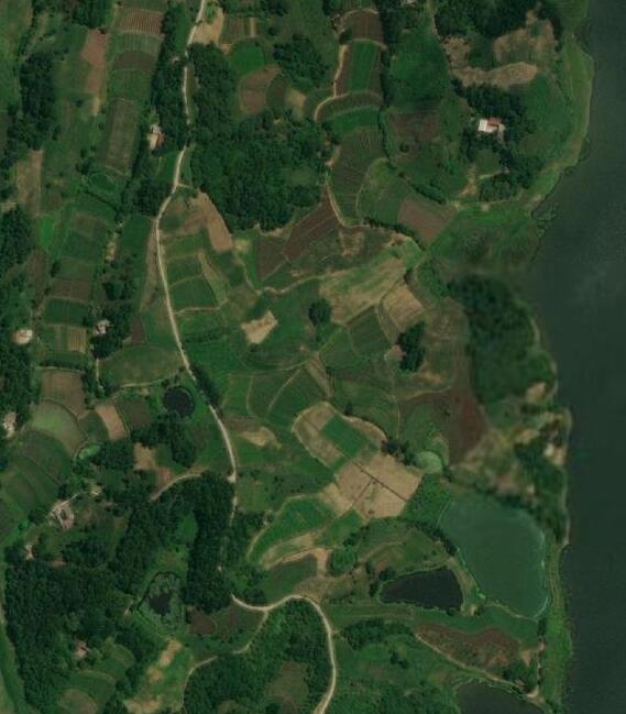 专业版谷歌地球地图永久版带手机版App