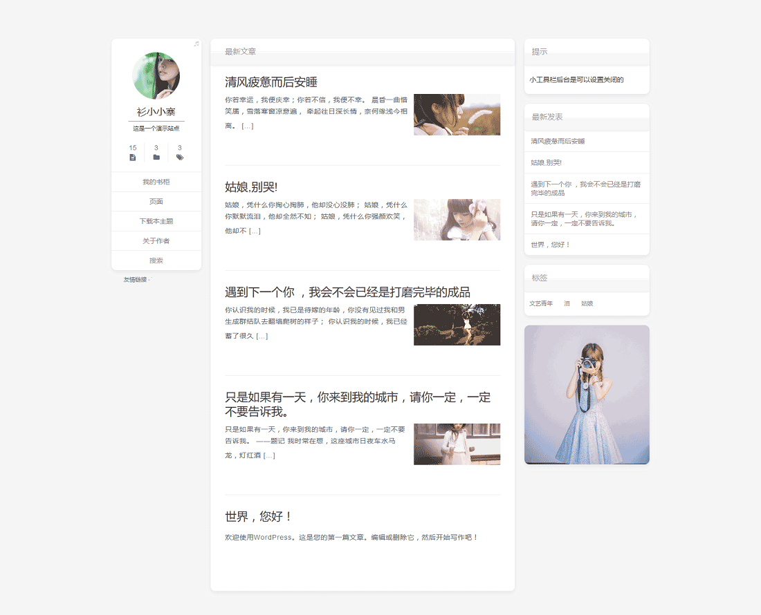 wordpress博客主题，国人原创主题