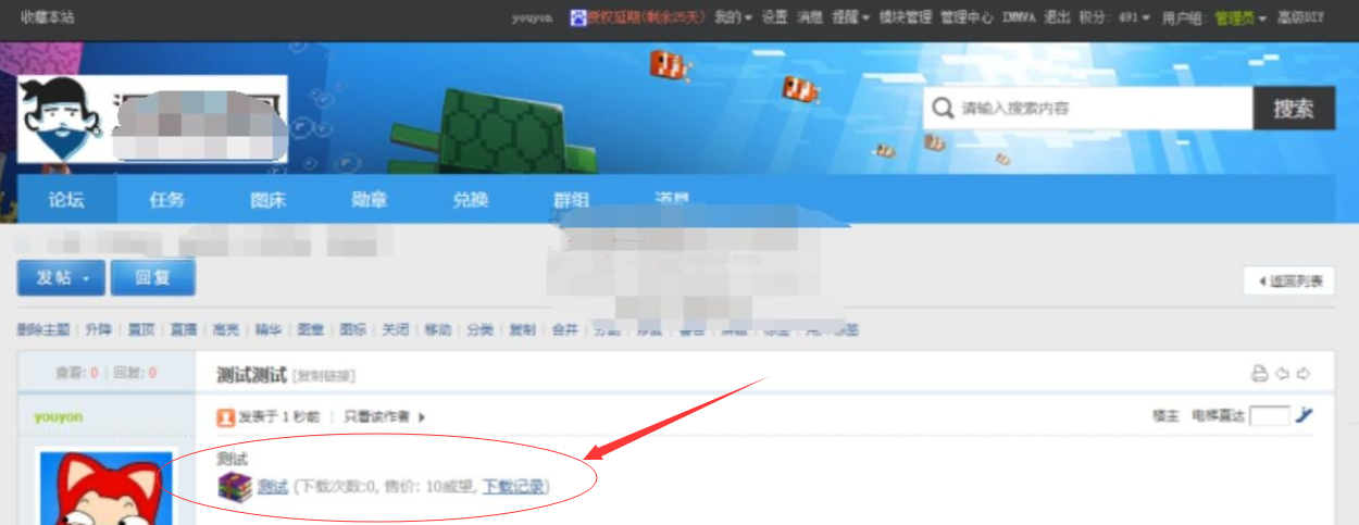 网盘链接伪装论坛附件形式源码