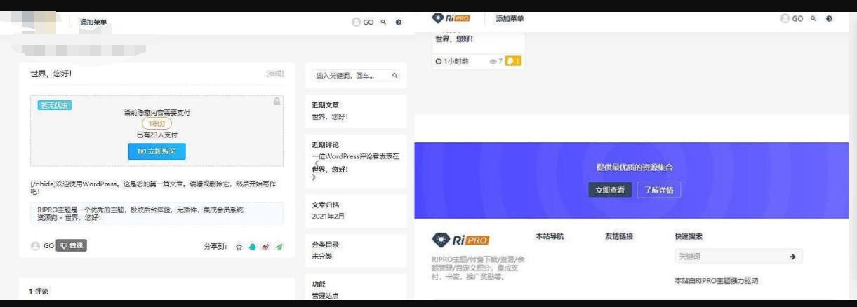 Wordpress RIPRO主题4.0美化版