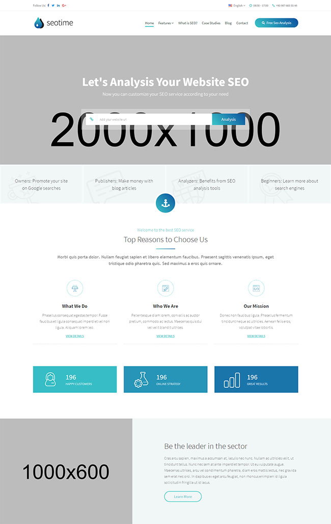 SEO搜索排名优化网站模板