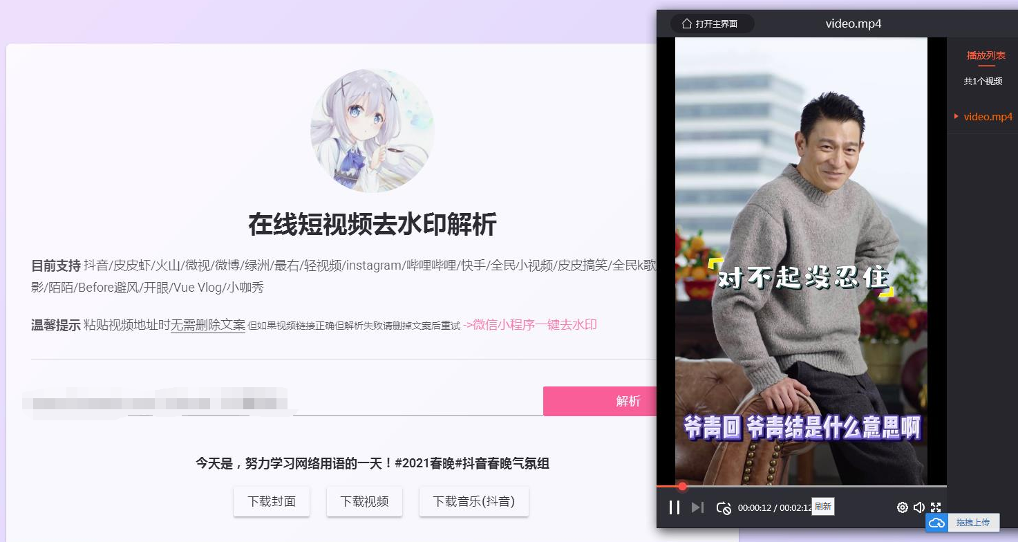 好看短视频去水印网页源码+成品