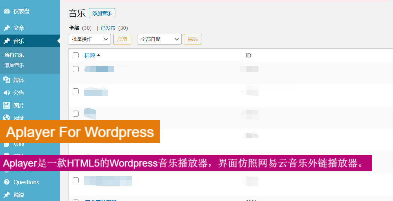 Aplayer For WordPress简约音乐插件