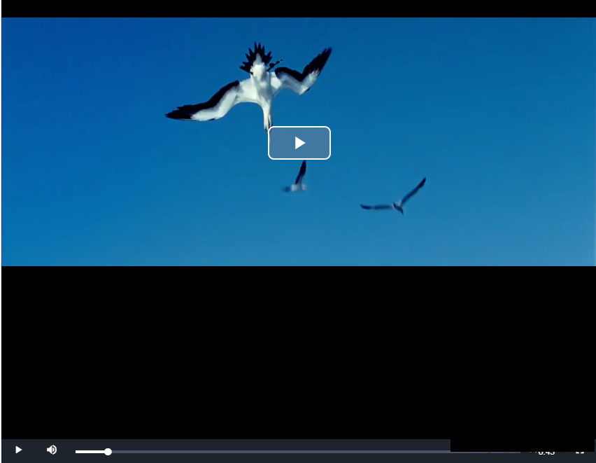 VideoJS - HTML5免费视频播放器源码 支持多格式