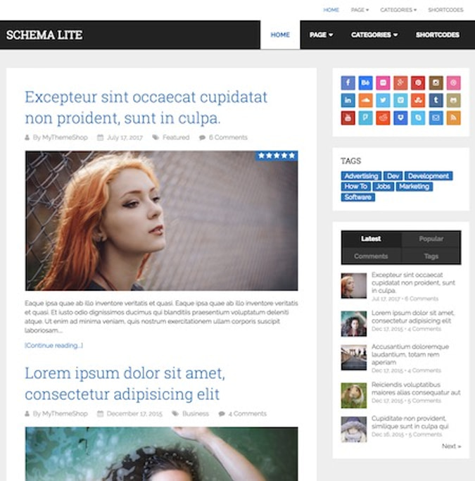 Schema Lite一款SEO WordPress主题